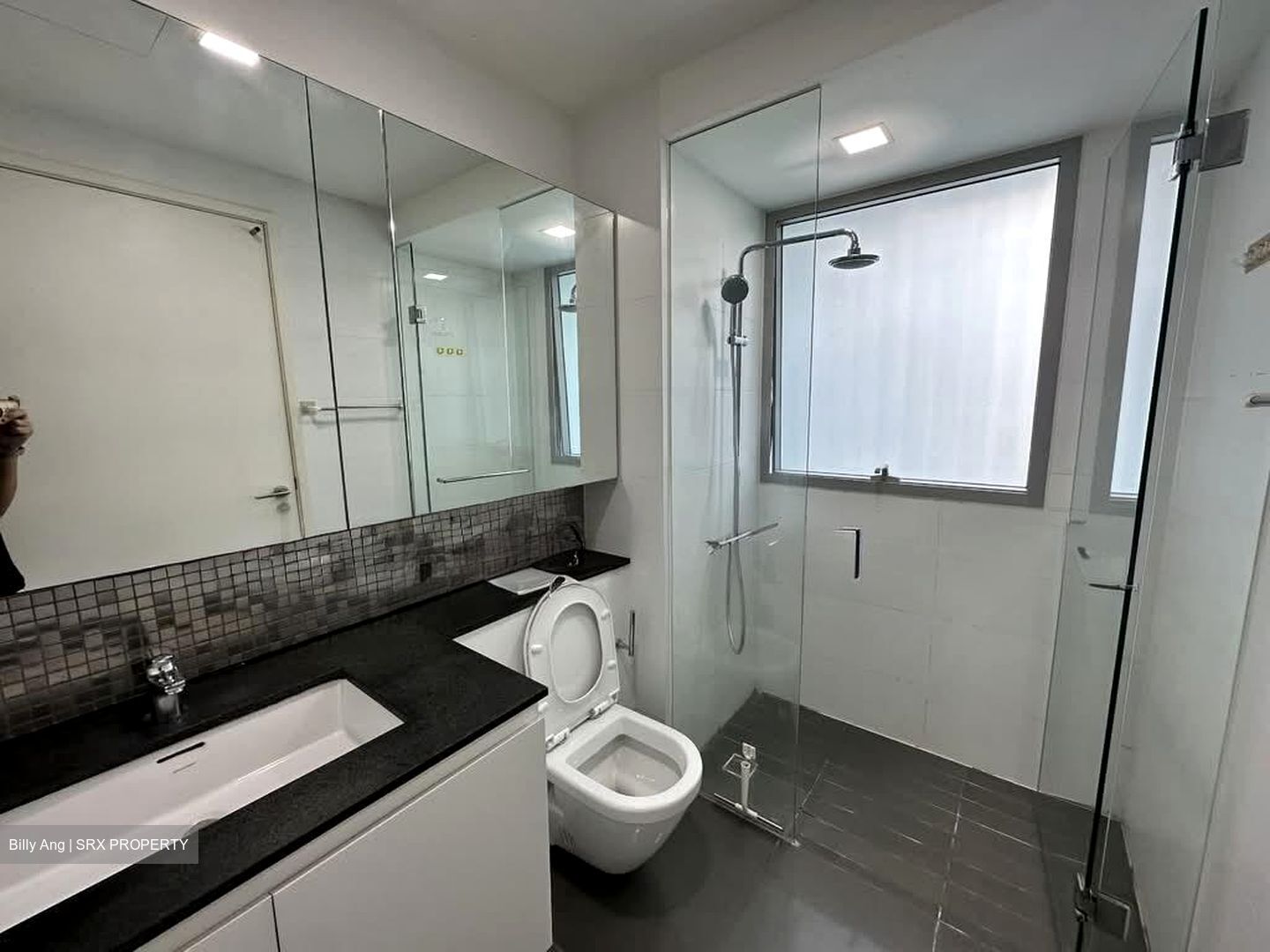The Minton (D19), Condominium #533633161